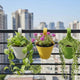 Go Hooked Double Hook Railing Planter |Hanging Flower Pot 12 Inches (Multicolor, Pack of 3)