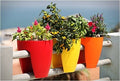GoHooked 12-inch railing planters in red, yellow, and orange, made of plastic, holding various flowers and plants.