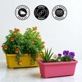 GoHooked yellow and pink rectangular plastic plant pots with drainage holes. Pack of 12.