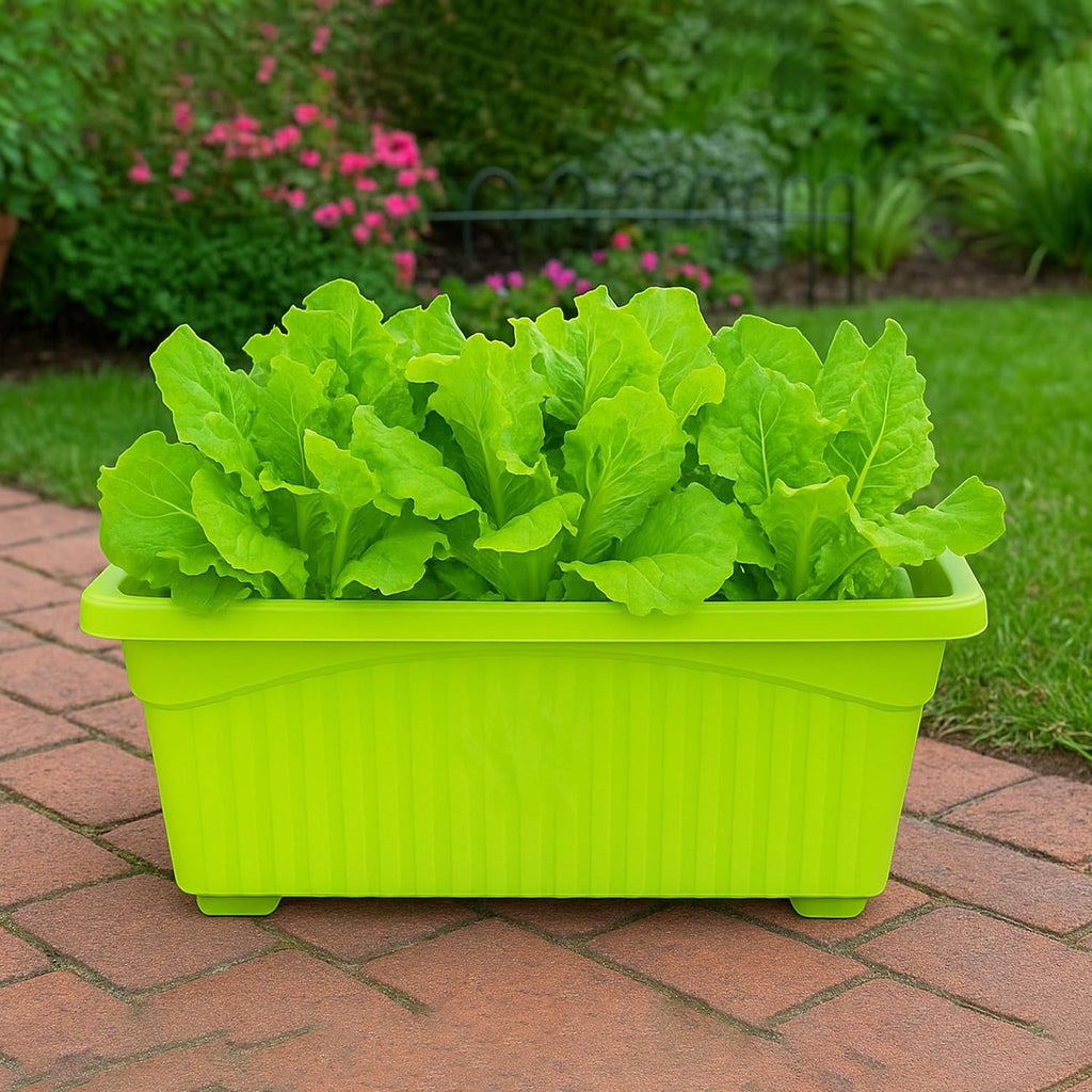 GoHooked rectangular green plastic planter pot filled with fresh lettuce, set on a brick pathway.
