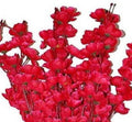 GoHooked red artificial cherry blossom orchid flower bunch with 7 branches for vase home decor