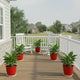 Go HookedPlastic Duro Flower Pot for Gardening, Indoor/Outdoor Planter-Red (8 Inch)(Pack of 5 with Tray)