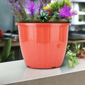 Go Hooked red plastic flower pot, 9-inch diameter, 7.5-inch height, classic round style, durable and lightweight.
