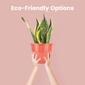 GoHooked red plastic flower pot with a snake plant, 9-inch diameter, classic round style.