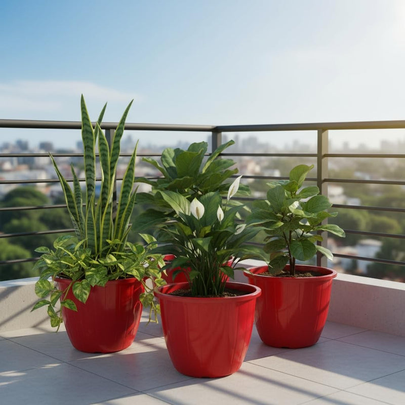 Go Hooked red plastic Duro flower pots, 10-inch, set of 4, holding snake plants, pothos, and peace lilies on a balcony.