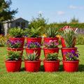 GoHooked 10-inch red plastic Duro flower pots, set of 12, with various plants on a sunny lawn.