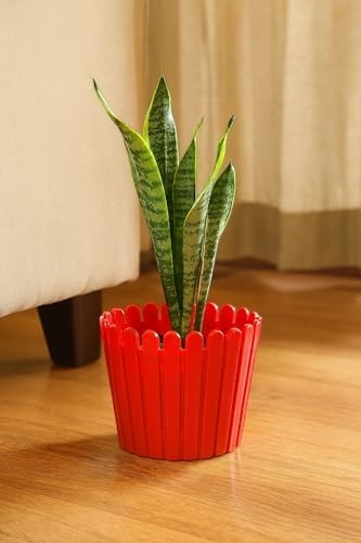 Go Hooked red plastic garden fence pot with scalloped edge, 11 inches, holding a snake plant.