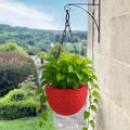 GoHooked red plastic hanging planter with metal chain, diamond pattern texture, 8.5 inch diameter.