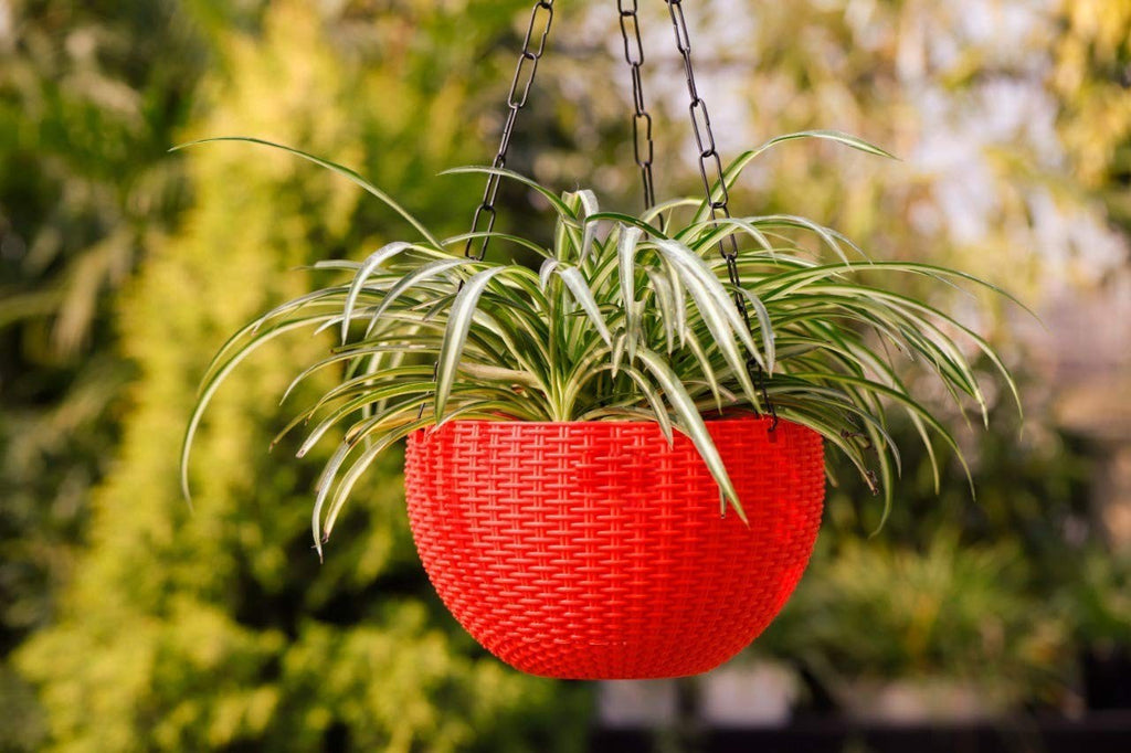 GoHooked red plastic round hanging planter with woven texture, 7.1 inch diameter, holding a spider plant outdoors.