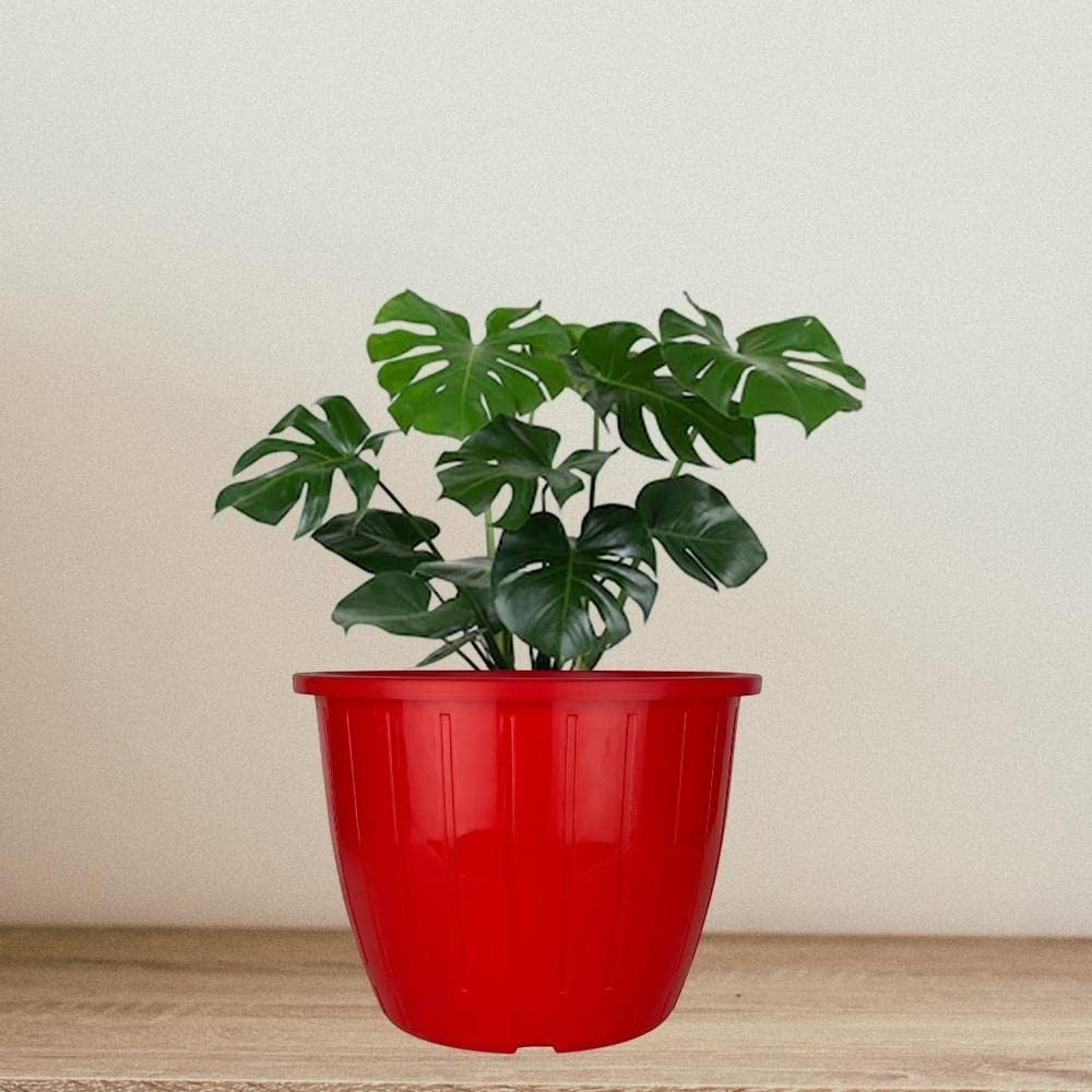 Go Hooked 10-inch red plastic planter with vertical ribbed design, perfect for indoor or outdoor gardening.