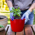 Go Hooked red 8-inch plastic planter with ribbed design, perfect for indoor/outdoor gardening. Includes tray.