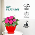 GoHooked red plastic planter pot with saucer, 6 inch, for indoor/outdoor plants, modern design, anti-fade material.