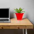 Go Hooked red plastic planter pot with saucer, 6 inch Zenith style, modern design for home or office.