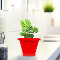 Go Hooked red plastic planter pot with saucer, 6 inch, modern design, for indoor/outdoor plants