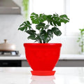 GoHooked red plastic planter pot with saucer, 6 inch Victor style, for indoor/outdoor plants.