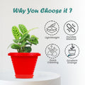 GoHooked red plastic planter pot with saucer, 6 inch Zenith style, modern design, lightweight, durable, easy to clean, excellent drainage.