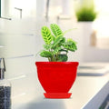 GoHooked red plastic planter pot with saucer, 6 inch Victor style, ideal for indoor/outdoor plants.