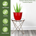 GoHooked red plastic planter pot, 8 inch, with tray. Lightweight, durable, and odor-free for indoor/outdoor gardening.