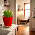 Go Hooked 8-inch red plastic planter pot with tray, ideal for indoor/outdoor gardening.
