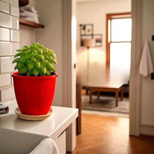 Go Hooked 8-inch red plastic planter pot with tray, ideal for indoor/outdoor gardening.
