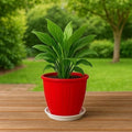 Go Hooked red plastic planter pot with tray, 8 inch, for indoor/outdoor gardening. Features fluted design.