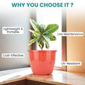 GoHooked red plastic planter pot with fluted design, perfect for indoor or outdoor gardening. Lightweight and UV-resistant.