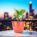 Go Hooked 10-inch red plastic planter pot with vertical ribbed design, perfect for indoor or outdoor gardening.