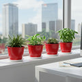GoHooked set of 4 red 8-inch plastic planters with trays, holding various indoor plants on a windowsill.