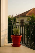 GoHooked red plastic planter pot with bottom tray, 8 inch, holding a lavender plant on a balcony.