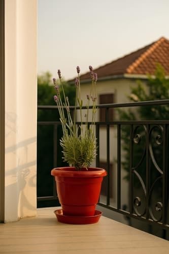 GoHooked red plastic planter pot with bottom tray, 8 inch, holding a lavender plant on a balcony.