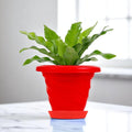GoHooked red plastic planter pot with saucer, 6 inch twister design for indoor/outdoor plants.