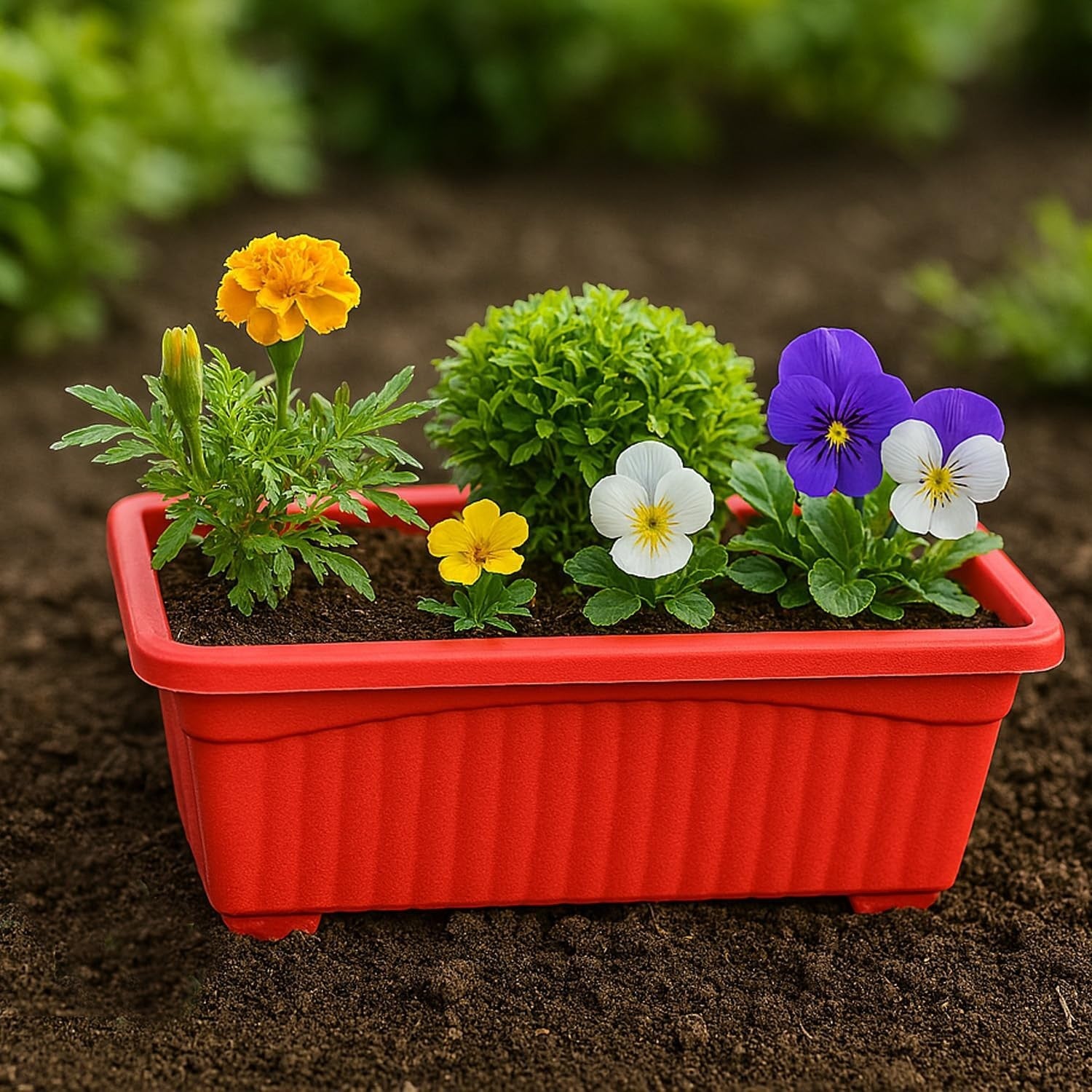 GoHooked red rectangular plastic planter with pansies, marigold, and greenery. Set of 6.