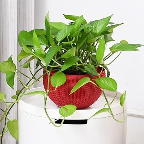 GoHooked red plastic hanging planter with woven texture, 7.1 inch diameter, suitable for indoor or outdoor use.