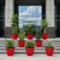 GoHooked 8-inch red plastic planters with trays, set of 8, for indoor/outdoor gardening.