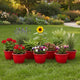 GoHooked Red Plastic Planter Pot Collection