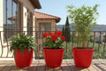 GoHooked set of 3 red plastic planters with fluted design, holding a fern, red geraniums, and bamboo on a balcony.
