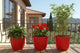Go Hooked Sunshine Flower Pot/Planters for Home Decor, Plastic Pots for Gardening/Home, Flower Pots Indoor-Outdoor & Planter for Plants (Red) (Pack of 3)