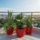Go Hooked Sunshine Flower Pot/Planters for Home Decor, Plastic Pots for Gardening/Home, Flower Pots Indoor-Outdoor & Planter for Plants (Red) (Pack of 4)