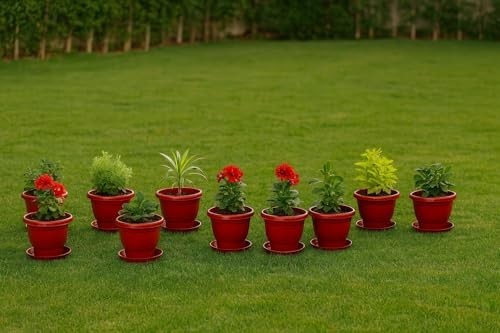 GoHooked red plastic planters with saucers, 8 inch, set of 20, for indoor/outdoor use.