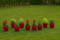 GoHooked red plastic planters with saucers, 8 inch, set of 20, for indoor/outdoor use.