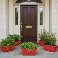 GoHooked Set of 5 red rectangular plastic planters with rust-resistant feature, ideal for home or garden.