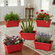 Go Hooked Rectangular Plastic Pots for Plants, Jupiter Flower Pots for Home, Window Display, Garden (Set of 5, Red) (35 x 18.5 x 15 cm)