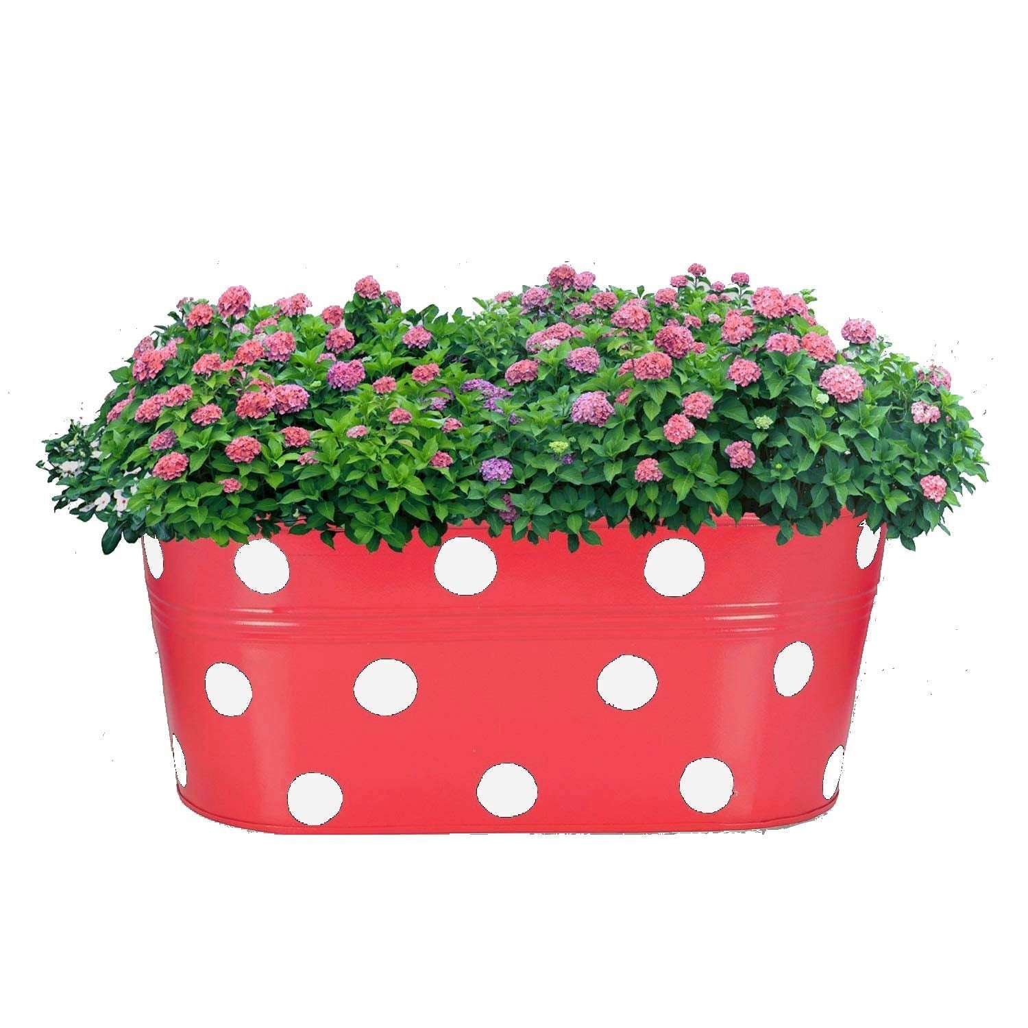 GoHooked red metal planter with white polka dots, filled with pink and purple flowers and green foliage.