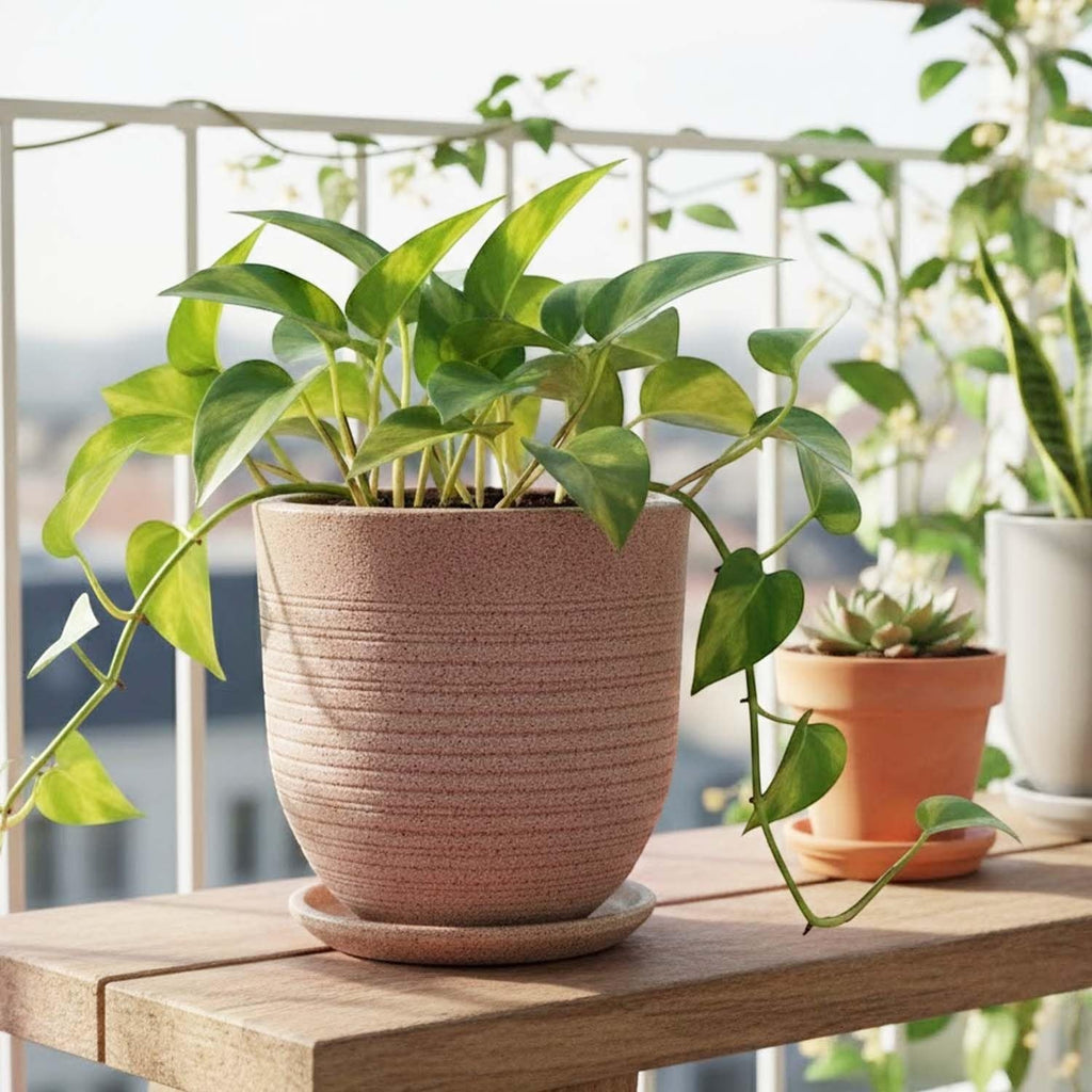 GoHooked Ripper 10-inch round brown polymer planter pot with textured ribbed design and matching saucer, holding a lush green plant.