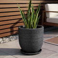 GoHooked Ripper 10 inch round planter pot in dark grey polymer with textured ribbed design and matching saucer. Holds a snake plant.