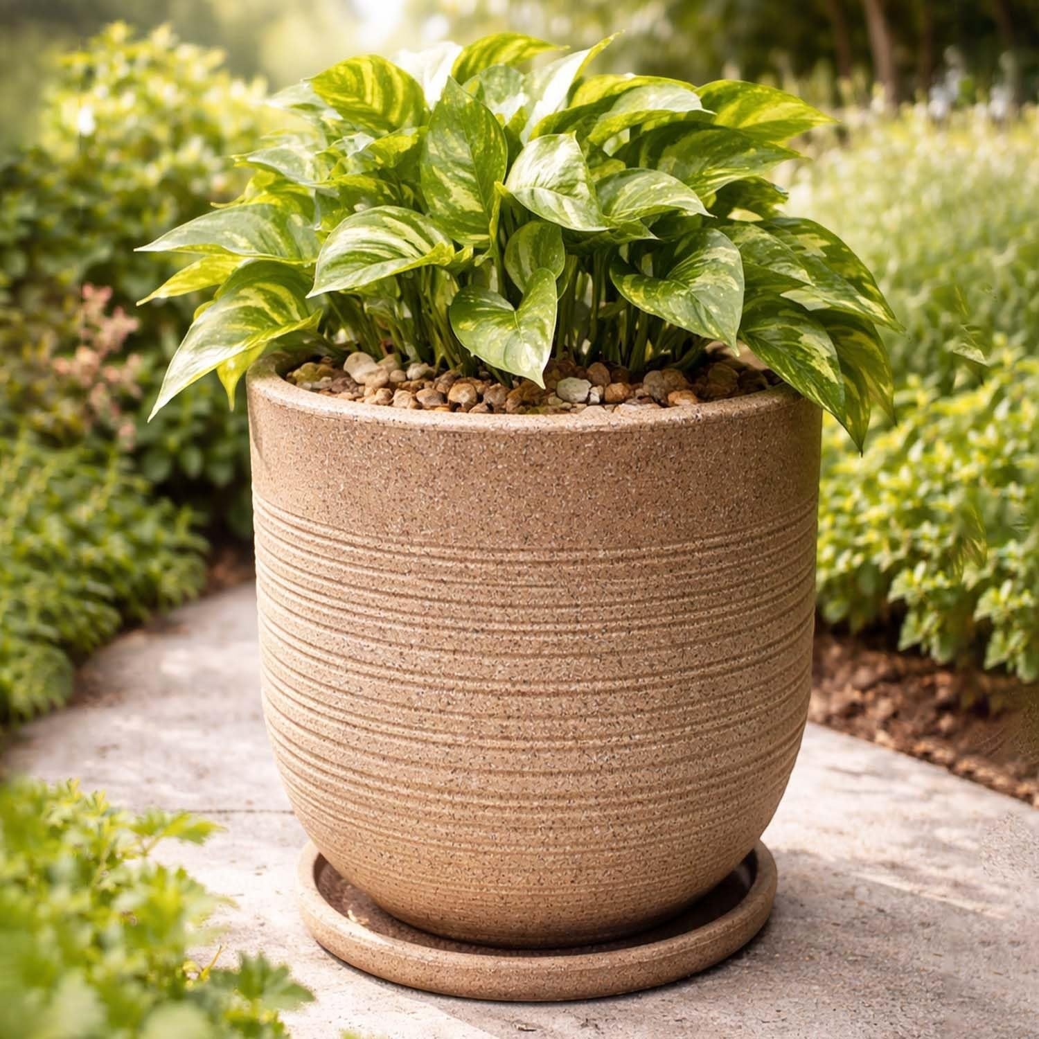 GoHooked Ripper 10 inch round polymer planter pot in white with textured ribbed design and matching tray, holding a green plant.
