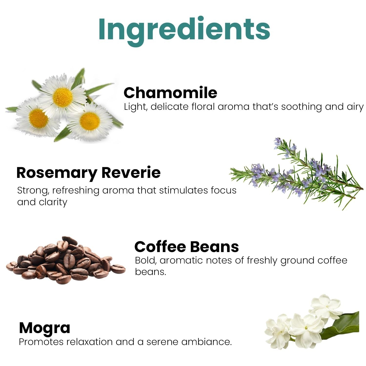 GoHooked Rosemary Reverie scented candle with chamomile, coffee beans, and mogra ingredients. White wax candle.
