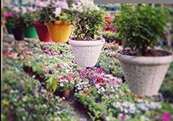 GoHooked multicolour 9-inch round plastic hanging pots with a woven texture, sold in a set of 6.