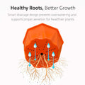 GoHooked assorted plastic self-watering planter with geometric design and drainage insert, showing healthy roots.