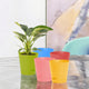 Go Hooked 4 Inch Self Watering Planter Pots 5 Sets for Indoor & Outdoor Gardening Premium Plastic Pots with UV Protection & Light Weight (Multicolor)